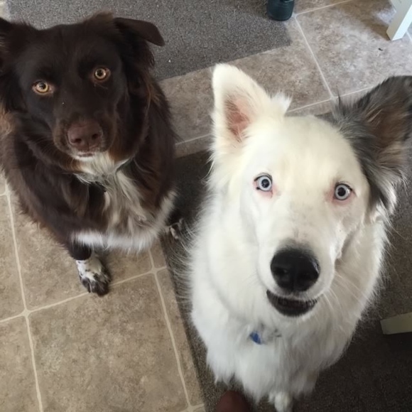 Meet Your Posher, Renee! - Picture 3 of 5